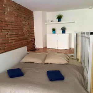 Appartement Le Petit Moulin, Duplex Hypercentre, Toulouse
